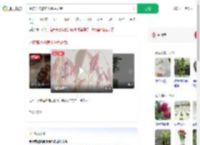 水培荔枝核养出粉色盆栽_360搜索