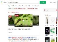 树上竟然开出了珠宝吊坠_360搜索