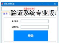 验证系统专业版：多维度软件防护方案解析