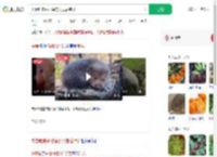夫妻吃来偷柑橘的竹鼠后肺炎_360搜索
