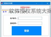 软件授权系统大揭秘：哪个才是你的最佳选择？