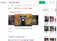 小浣熊出逃50多天后车祸受伤_360搜索