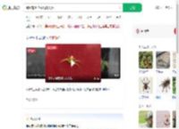 蜘蛛背上花纹酷似人脸_360搜索
