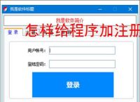 怎样给程序加注册验证