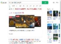 黑龙江景区内梅花鹿踢倒游客_360搜索