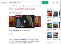 云南火把节橘猫被抹成黑猫_360搜索