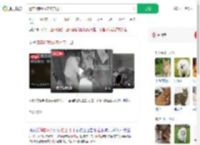 遗弃3狗崽放宠物店门口_360搜索