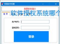 软件授权系统哪个好？2025年主流方案对比