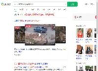 猴子扯断电线引发踩踏致2死_360搜索