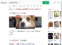 母亲立遗嘱给宠物狗十几万_360搜索