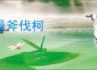 文献阅读器下载 小绿鲸英文文献阅读器 v2.5.0 官方安装版 下载-脚本之家