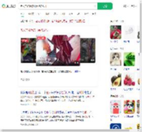老人带娃饭店扫桌抱走纸巾_360搜索