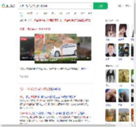 大连一梅花鹿与行驶小车相撞_360搜索