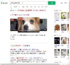 母亲立遗嘱给宠物狗十几万_360搜索