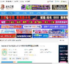 Nicat17下载 Nicat 17 for SQLite v17.2.7 中文企业免费版(附安装教程) 下载-脚本之家