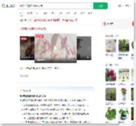 水培荔枝核养出粉色盆栽_360搜索