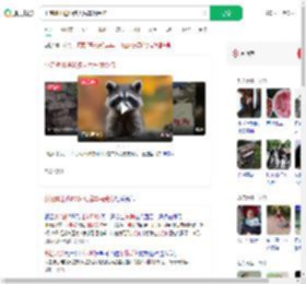 小浣熊出逃50多天后车祸受伤_360搜索
