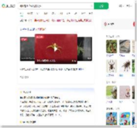 蜘蛛背上花纹酷似人脸_360搜索