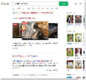 担心猪被宰抱回家养到400斤_360搜索