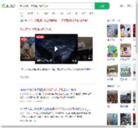 老人凌晨打手电清理海洋垃圾_360搜索