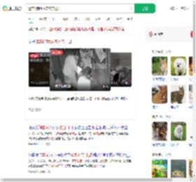 遗弃3狗崽放宠物店门口_360搜索